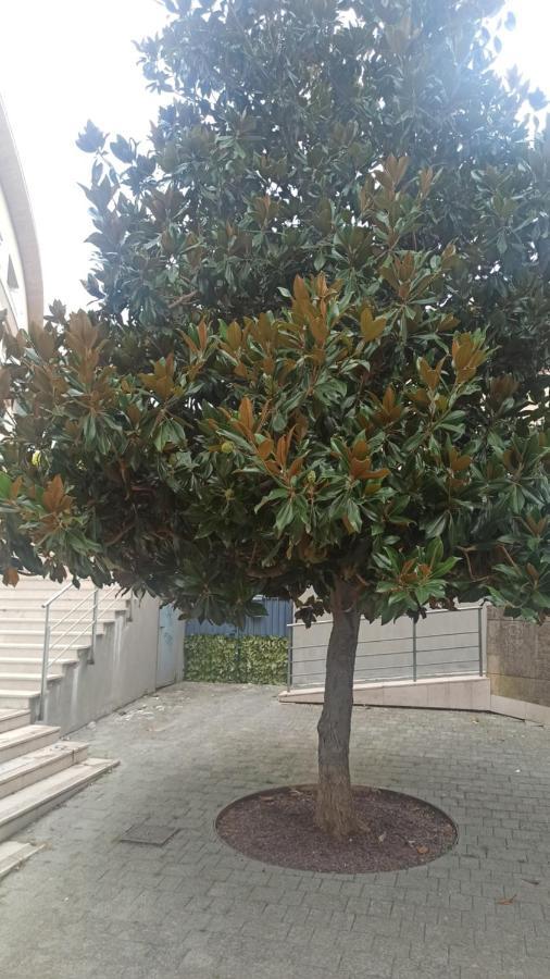 Rosselli93 Daire Matera Dış mekan fotoğraf